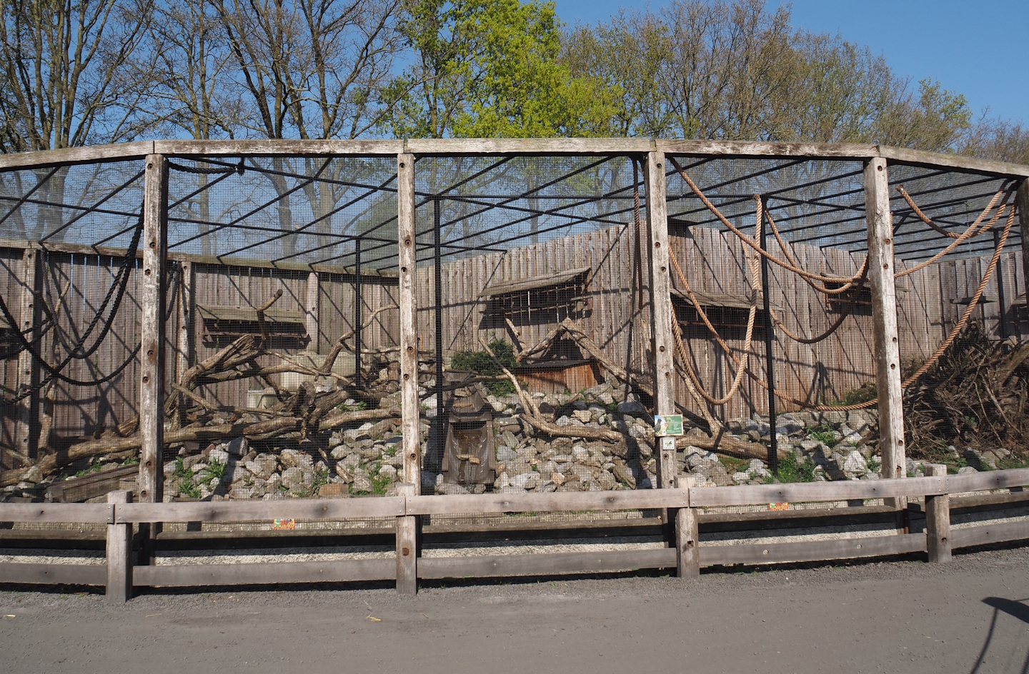 Kea aviary, 2025-04-12