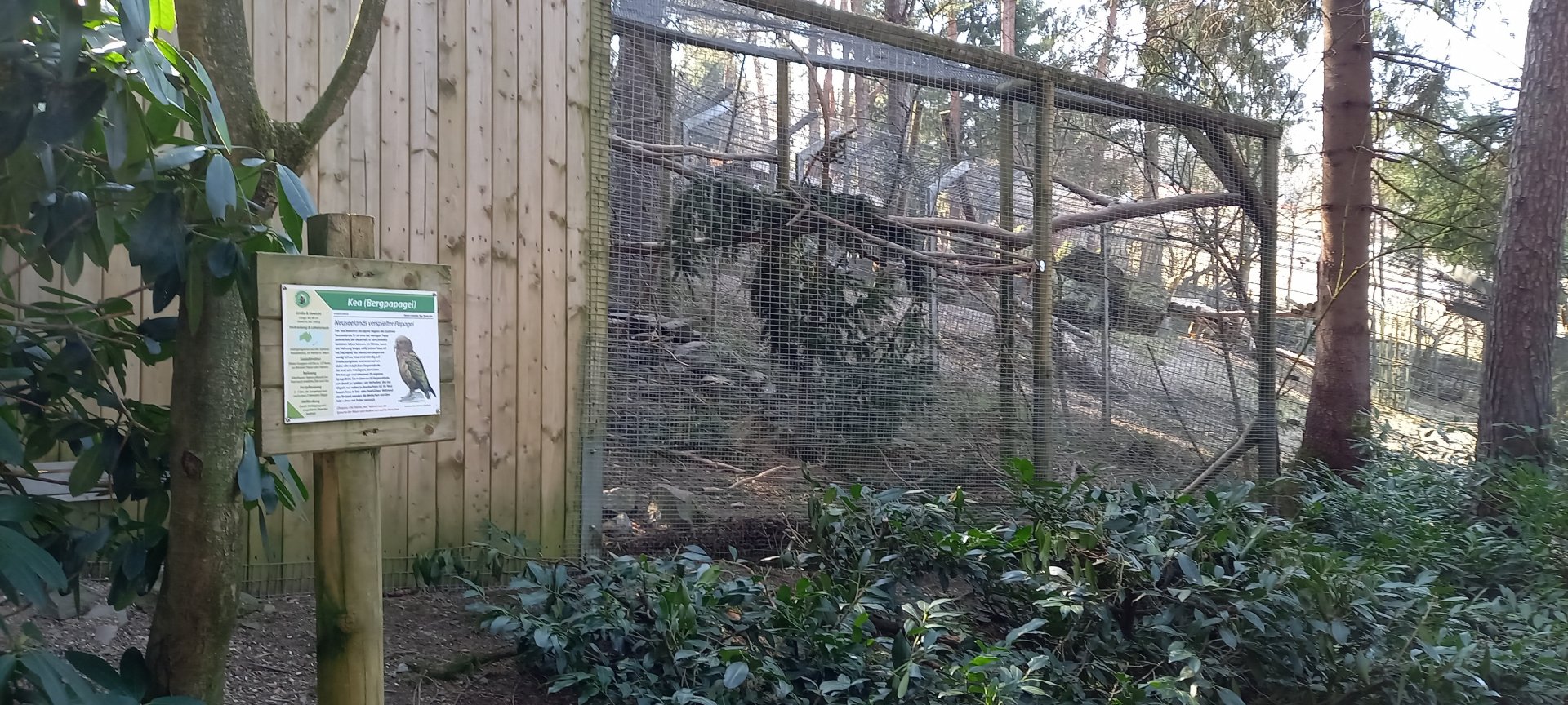 Kea-aviary and sign