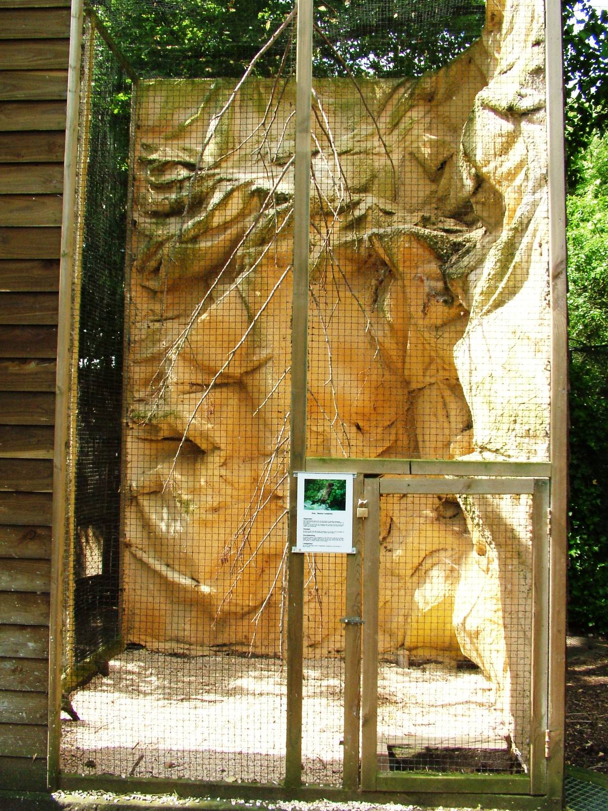 Kea Aviary at De Paay, 02/06/12