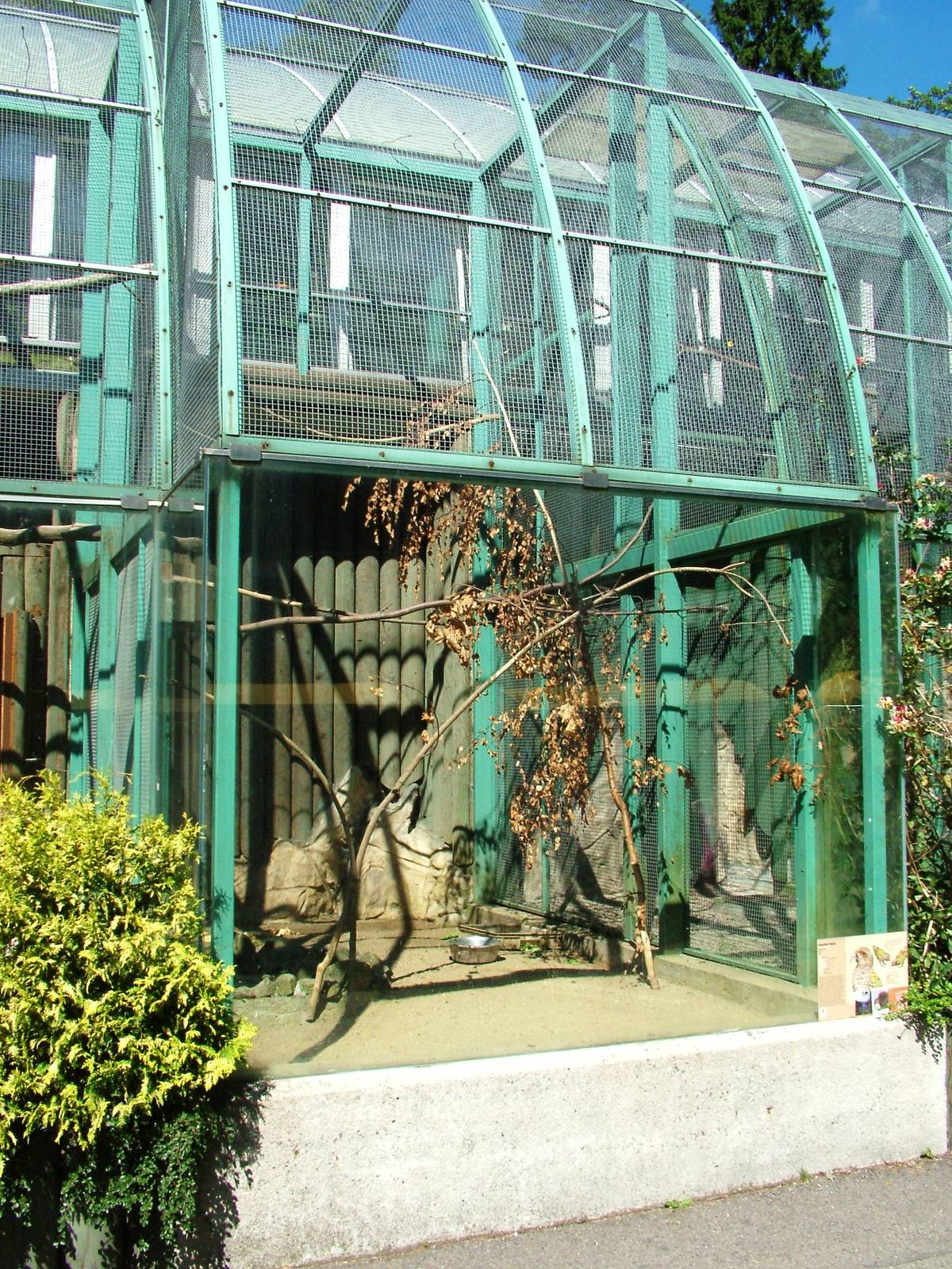 Kea Aviary at Liberec, 28/08/12