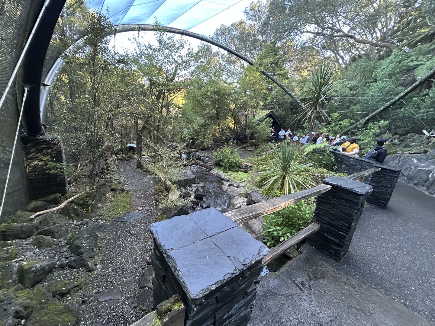 Kea Aviary - Te Wao Nui