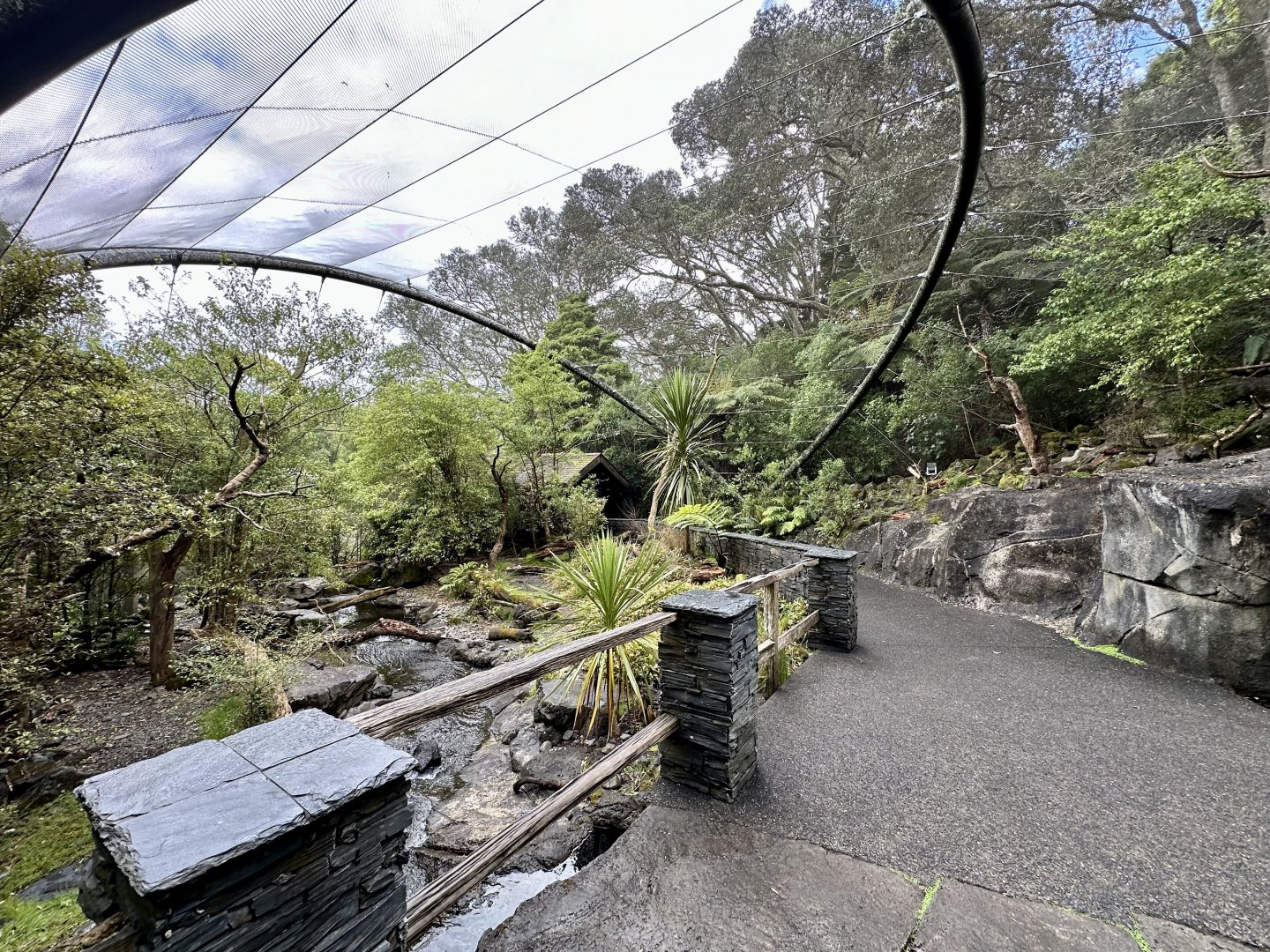 Kea Aviary (The High Country)