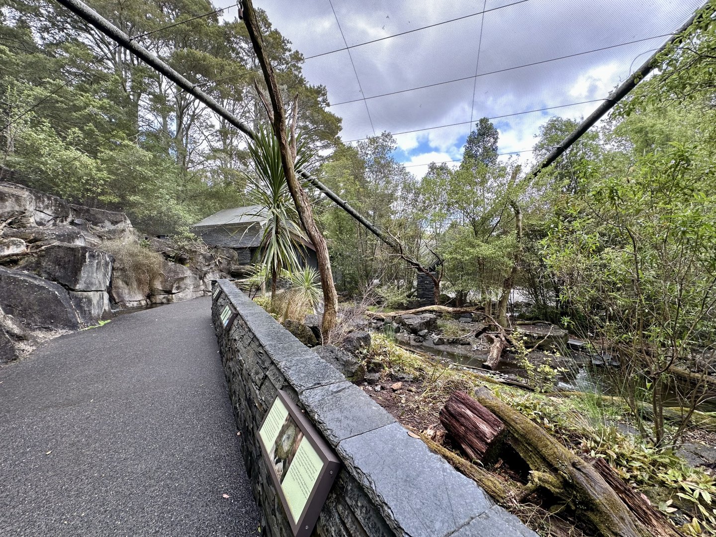 Kea Aviary (The High Country)