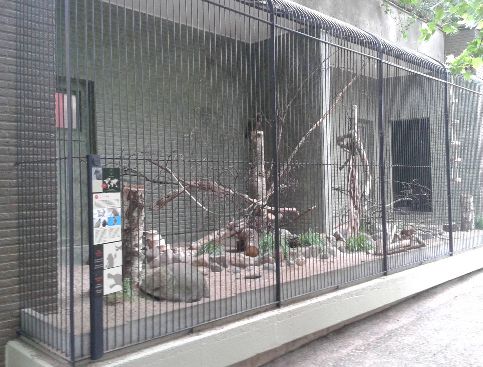 Kea aviary