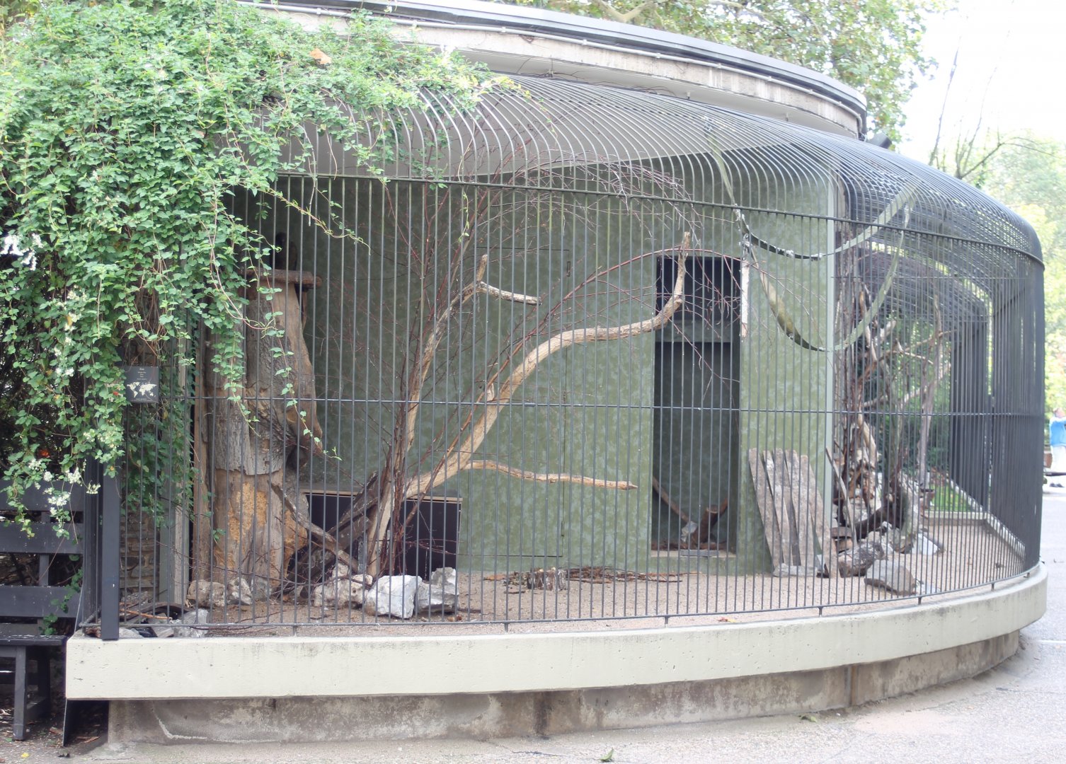 Kea-aviary