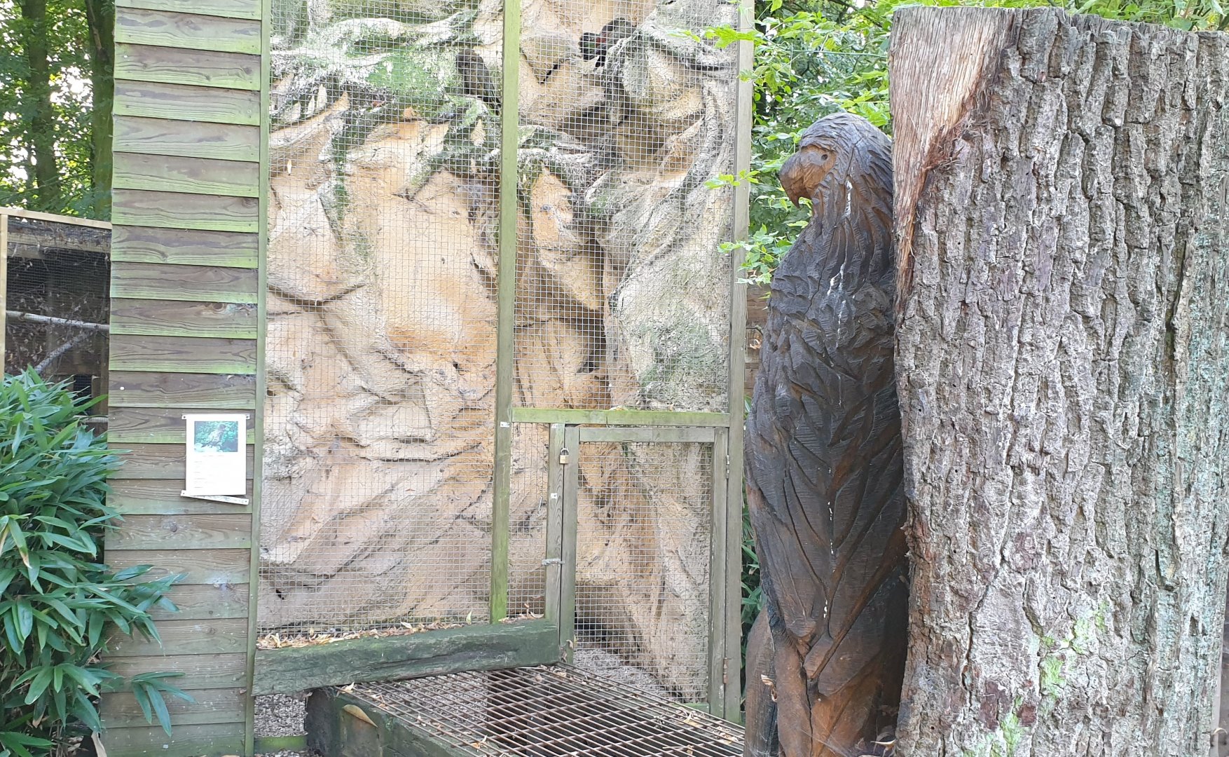Kea aviary