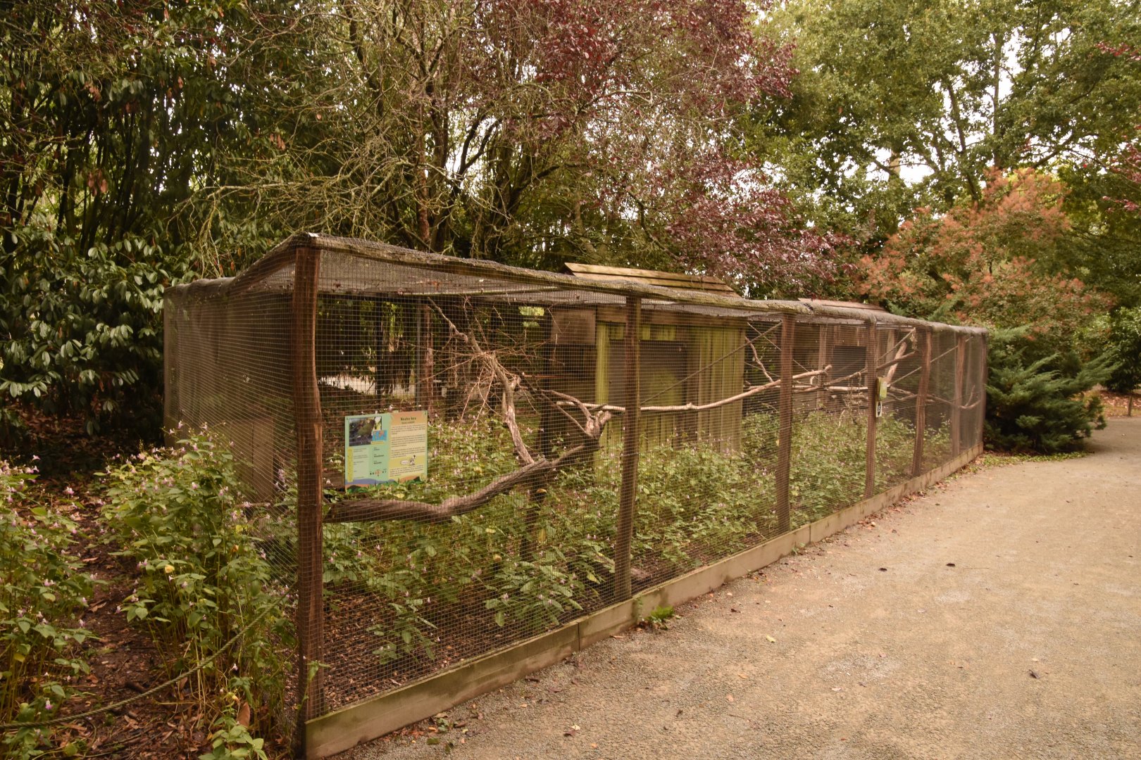 Kea aviary