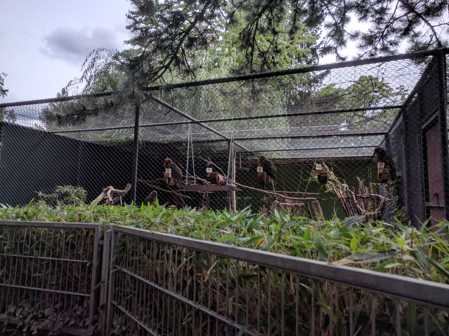 Kea Aviary
