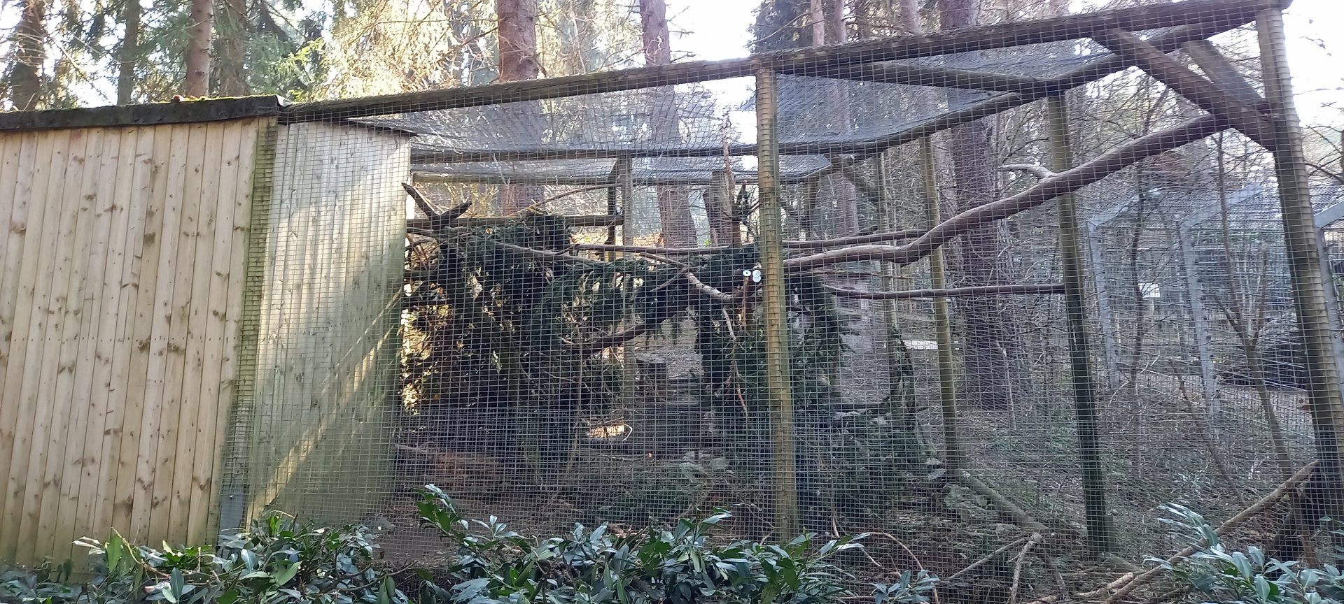 Kea-aviary