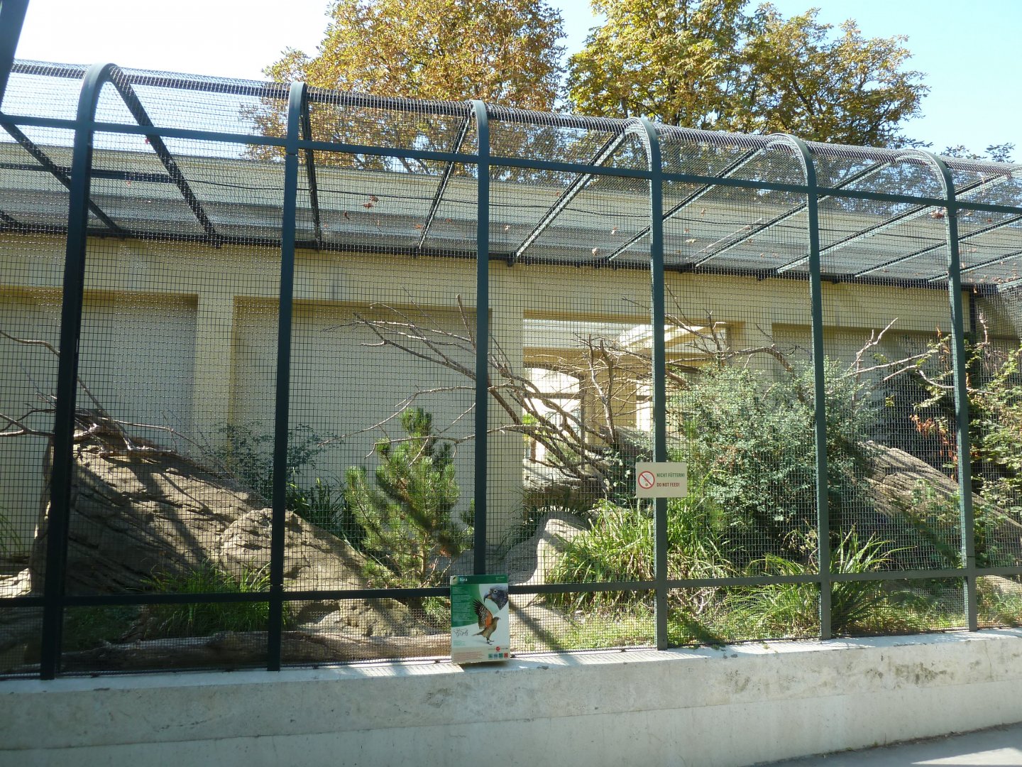 Kea aviary