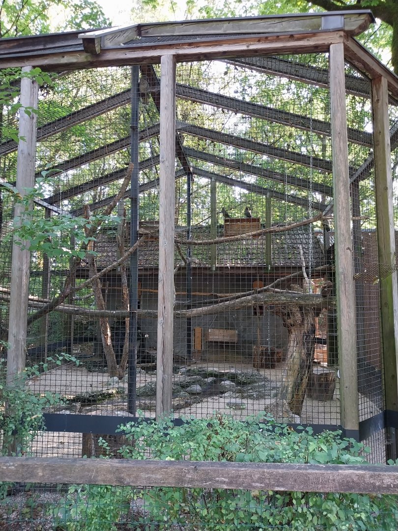 Kea aviary