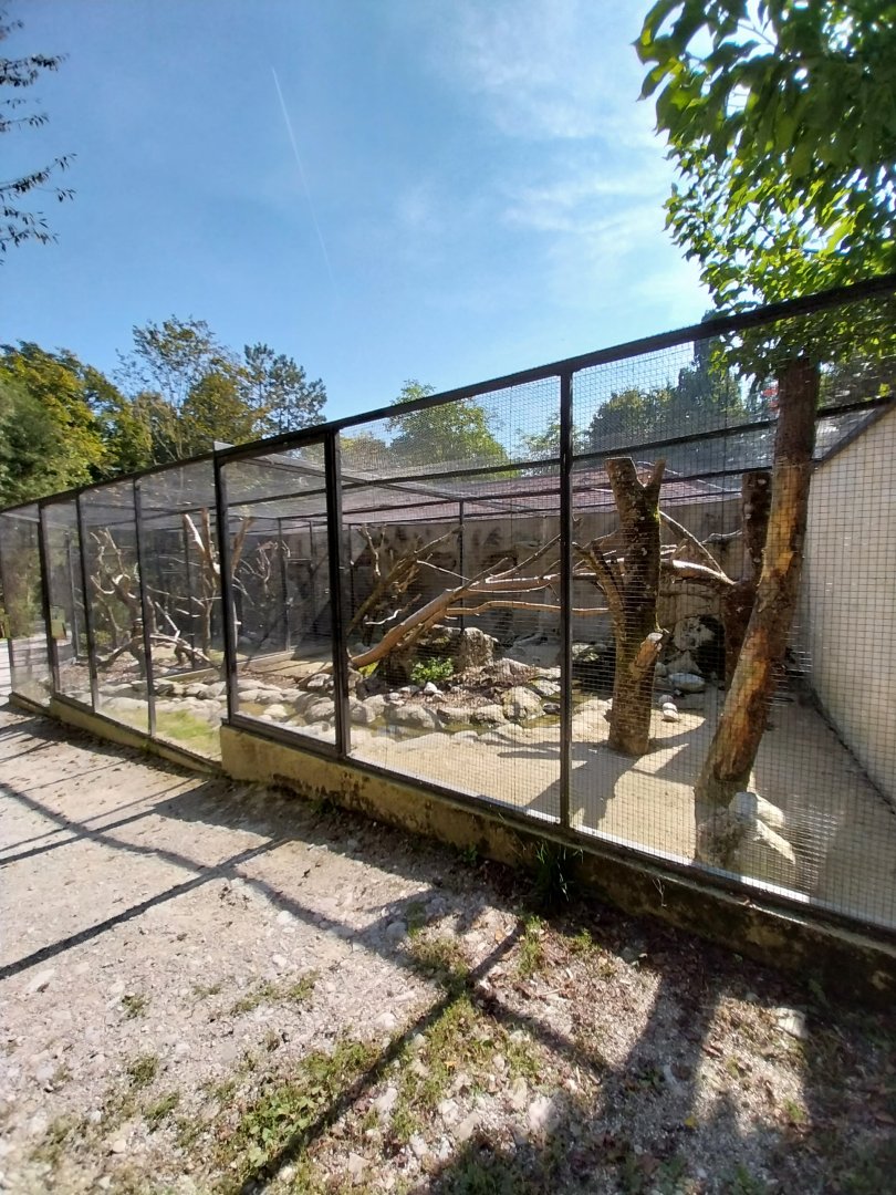 Kea aviary