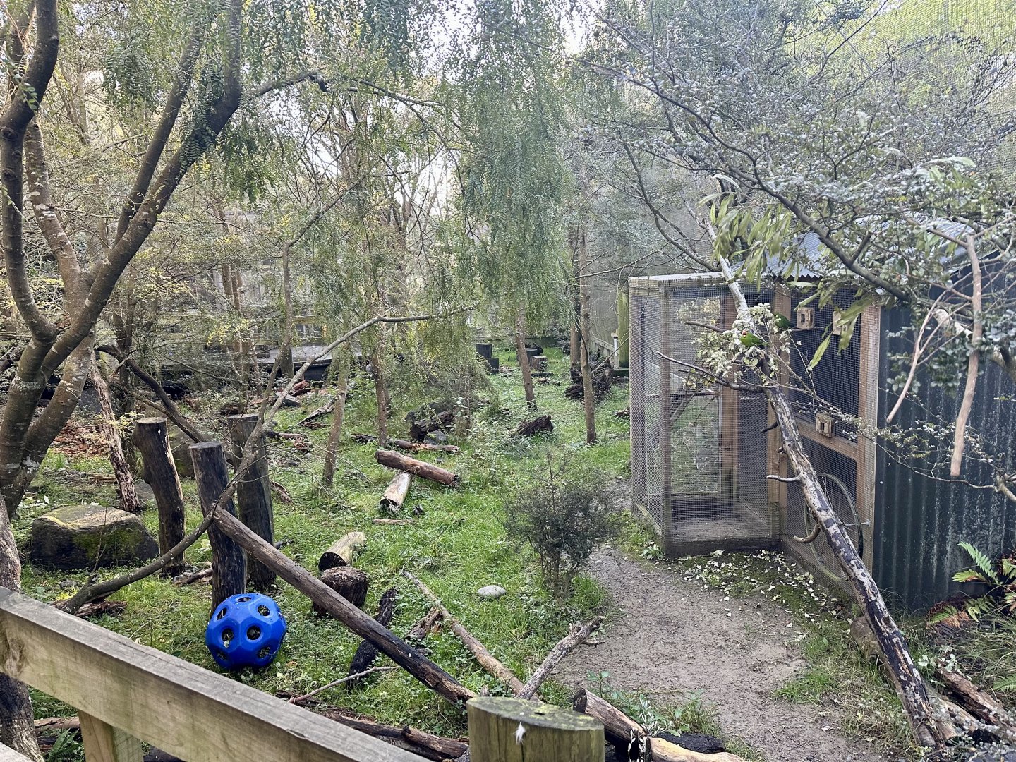 Kea Aviary