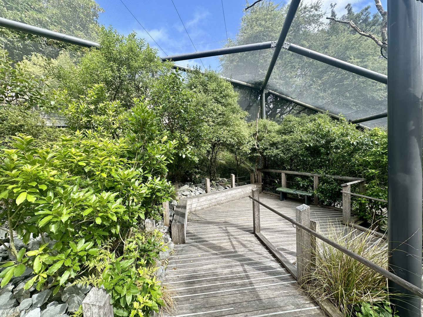 Kea Aviary