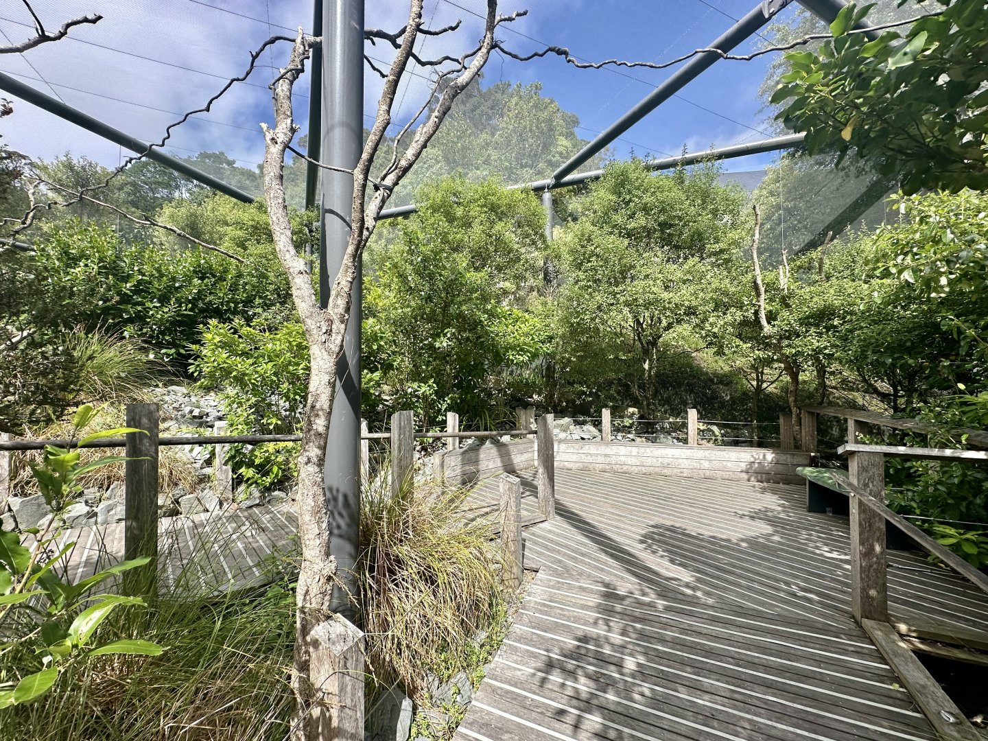Kea Aviary