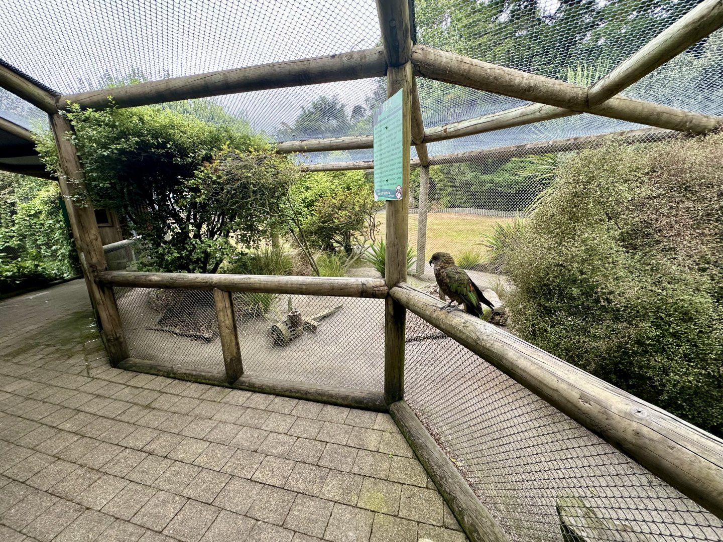 Kea Aviary