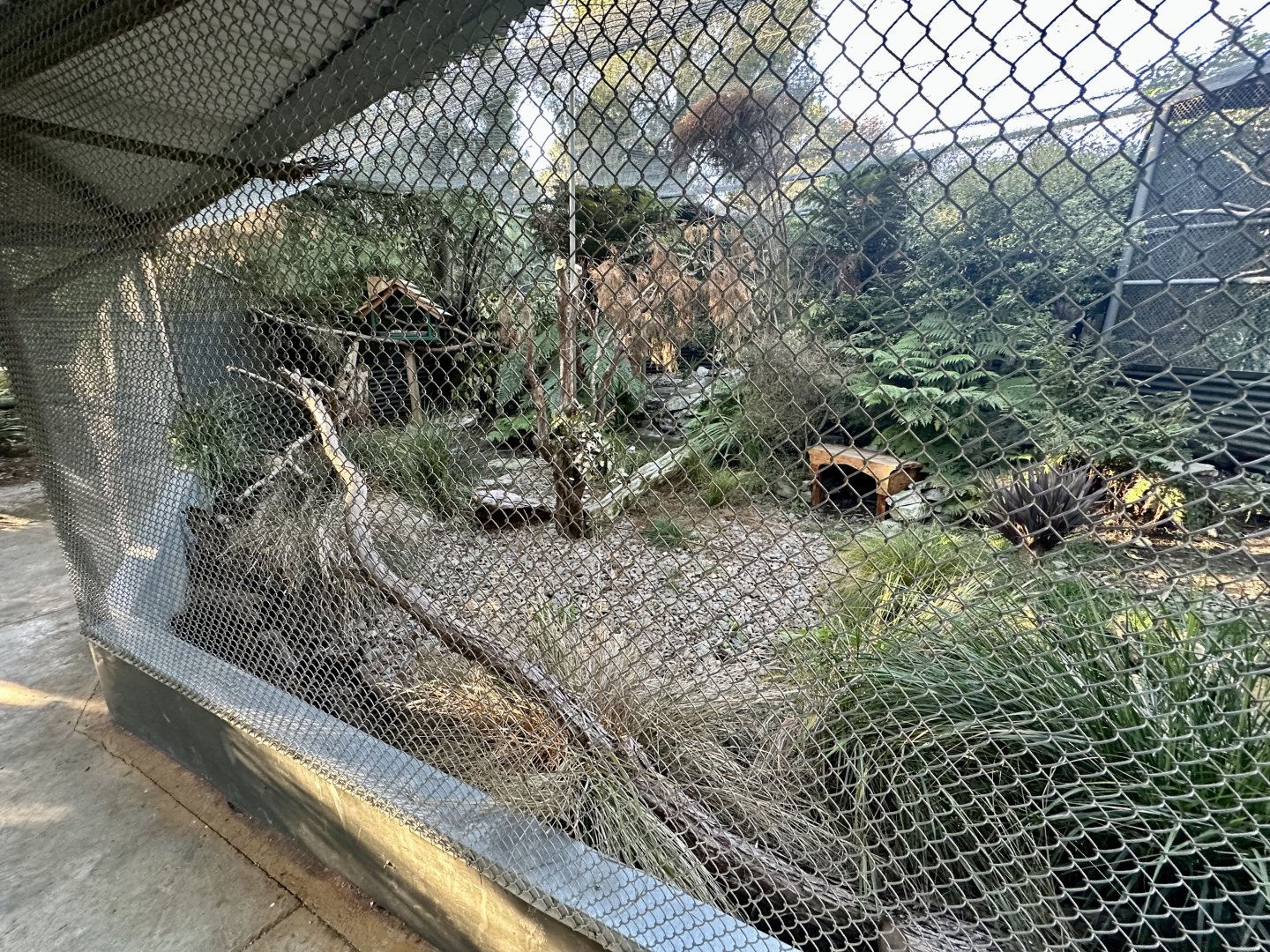 Kea Aviary