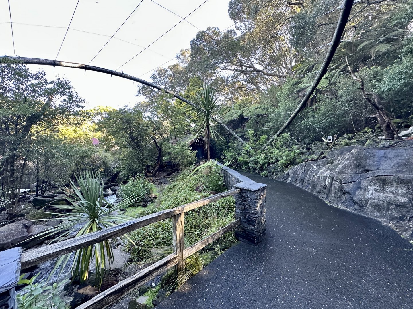 Kea Aviary
