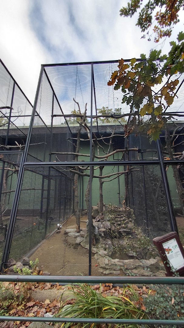 Kea aviary