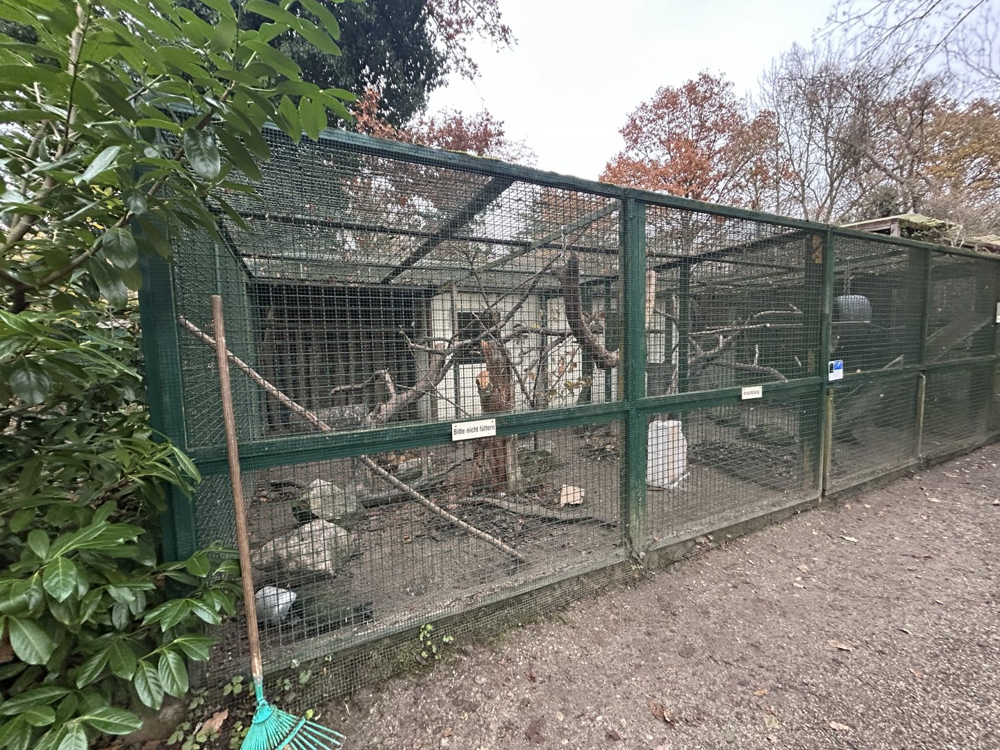 Kea Aviary