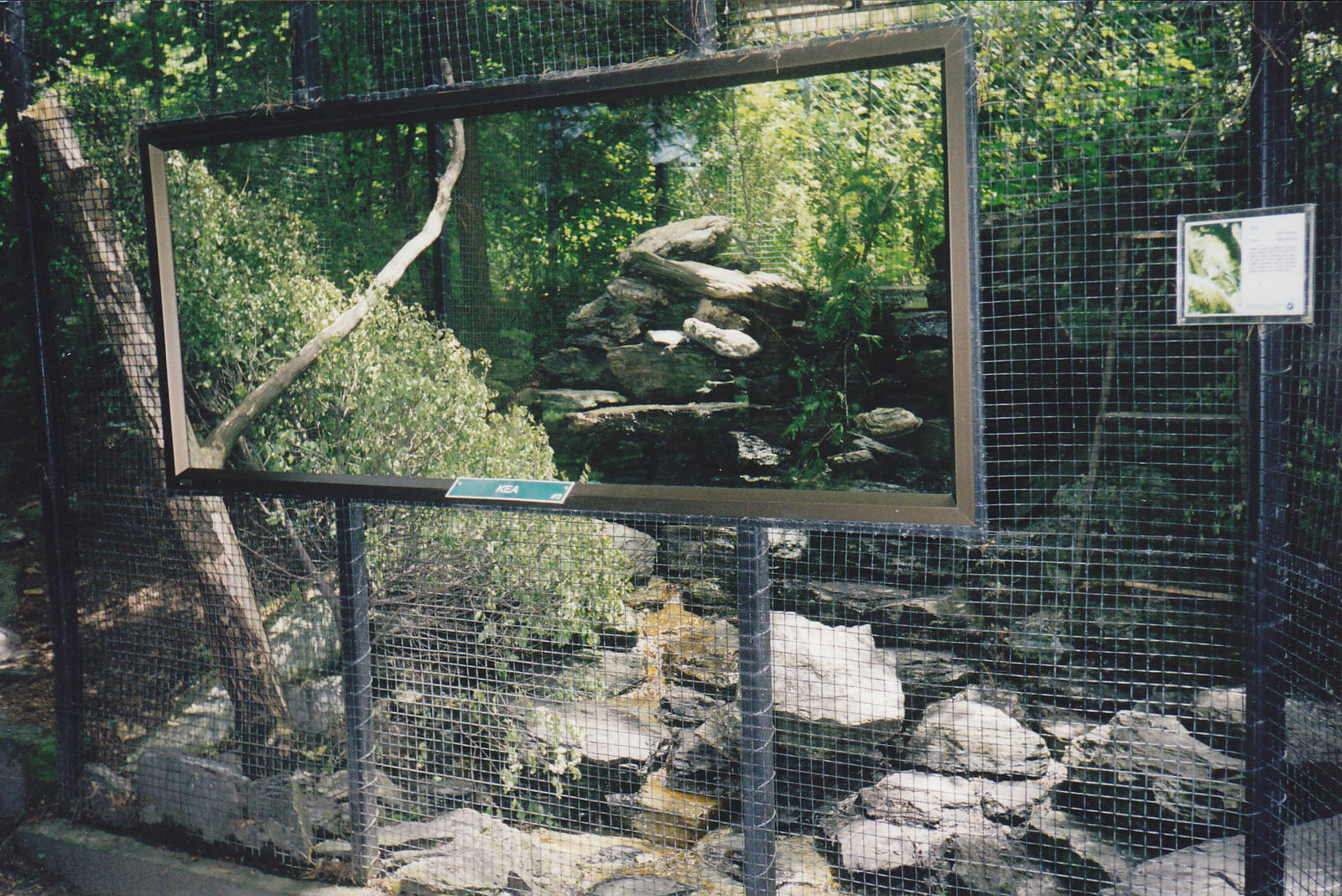 kea aviary