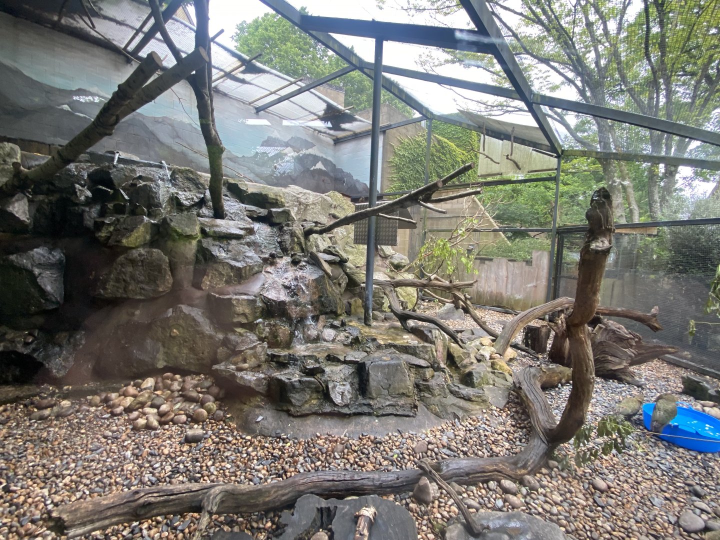 Kea enclosure 190622