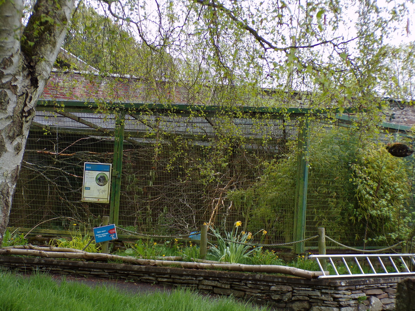 Kea enclosure 7.5.23