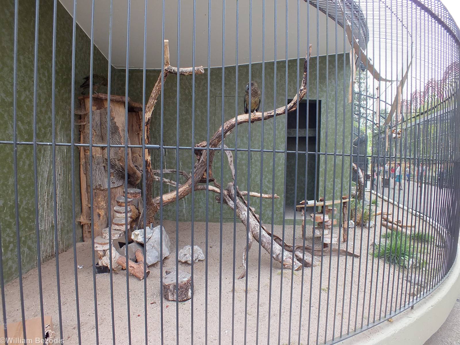 Kea Enclosure