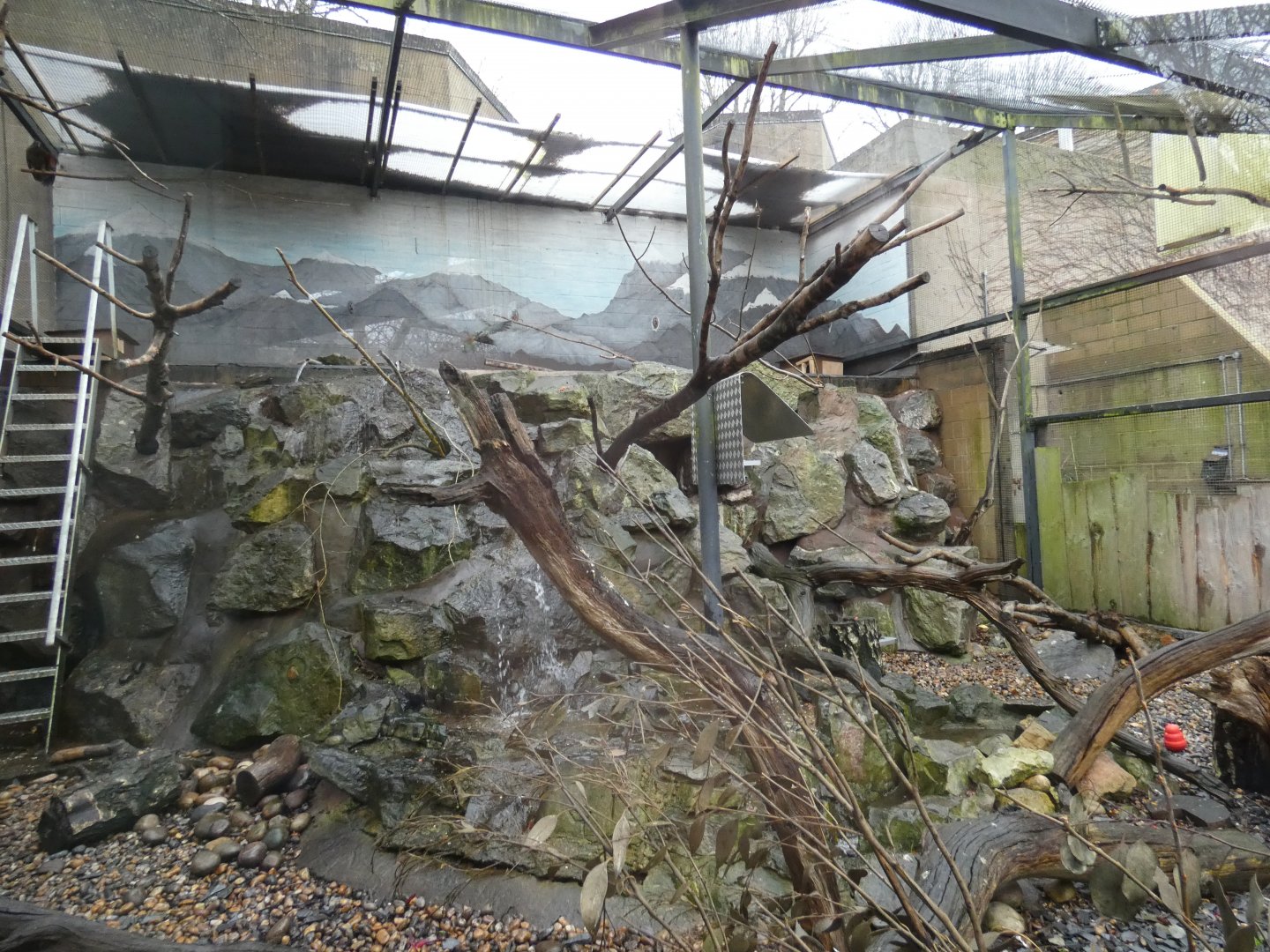 Kea enclosure