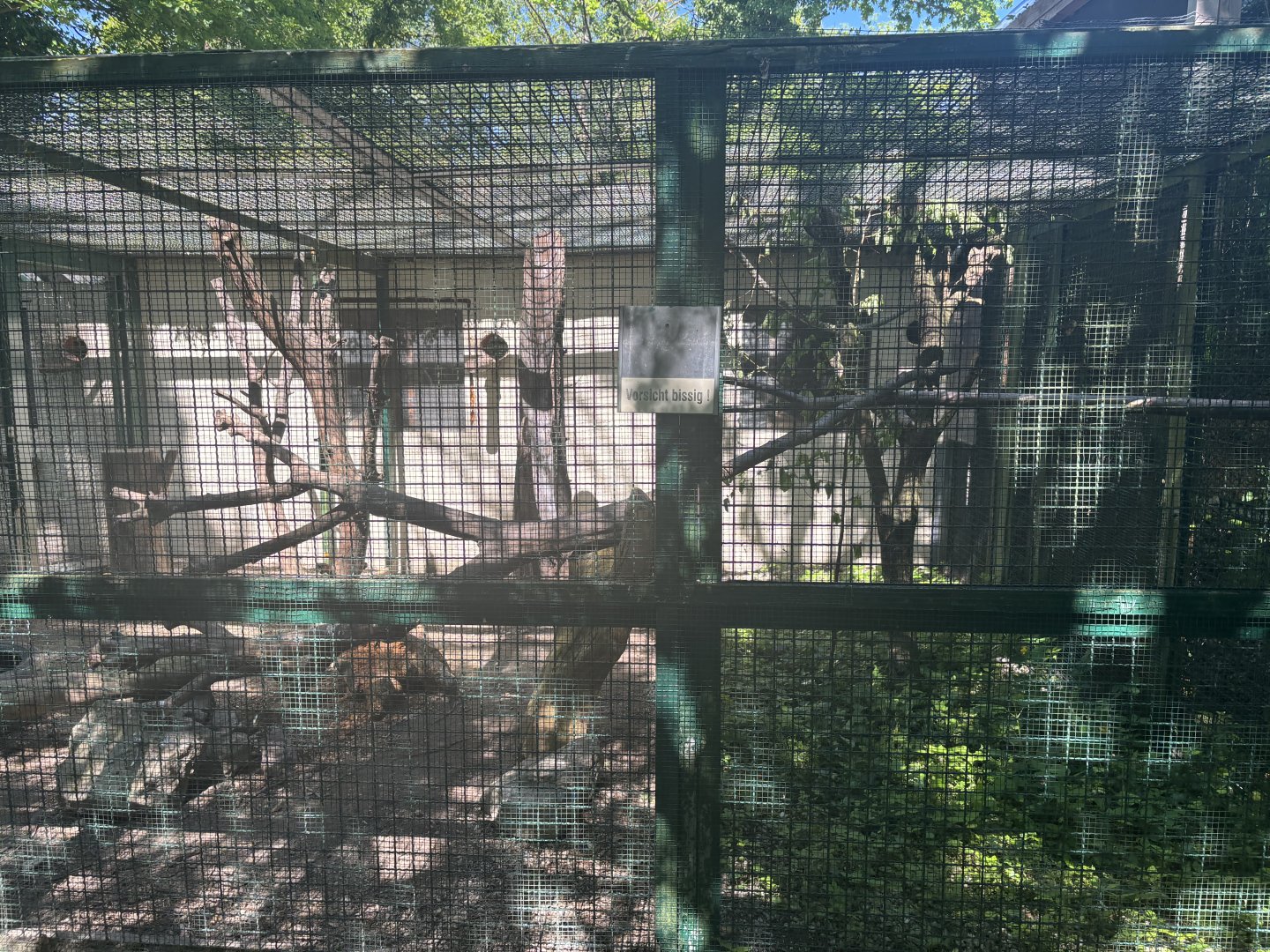 Kea Enclosure