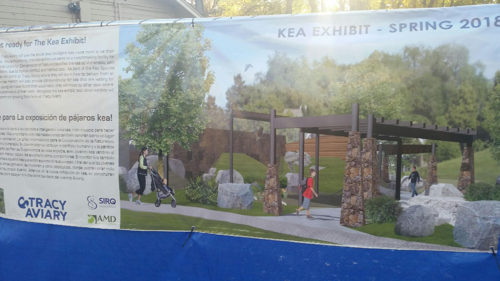 Kea Exhibit Concept Art