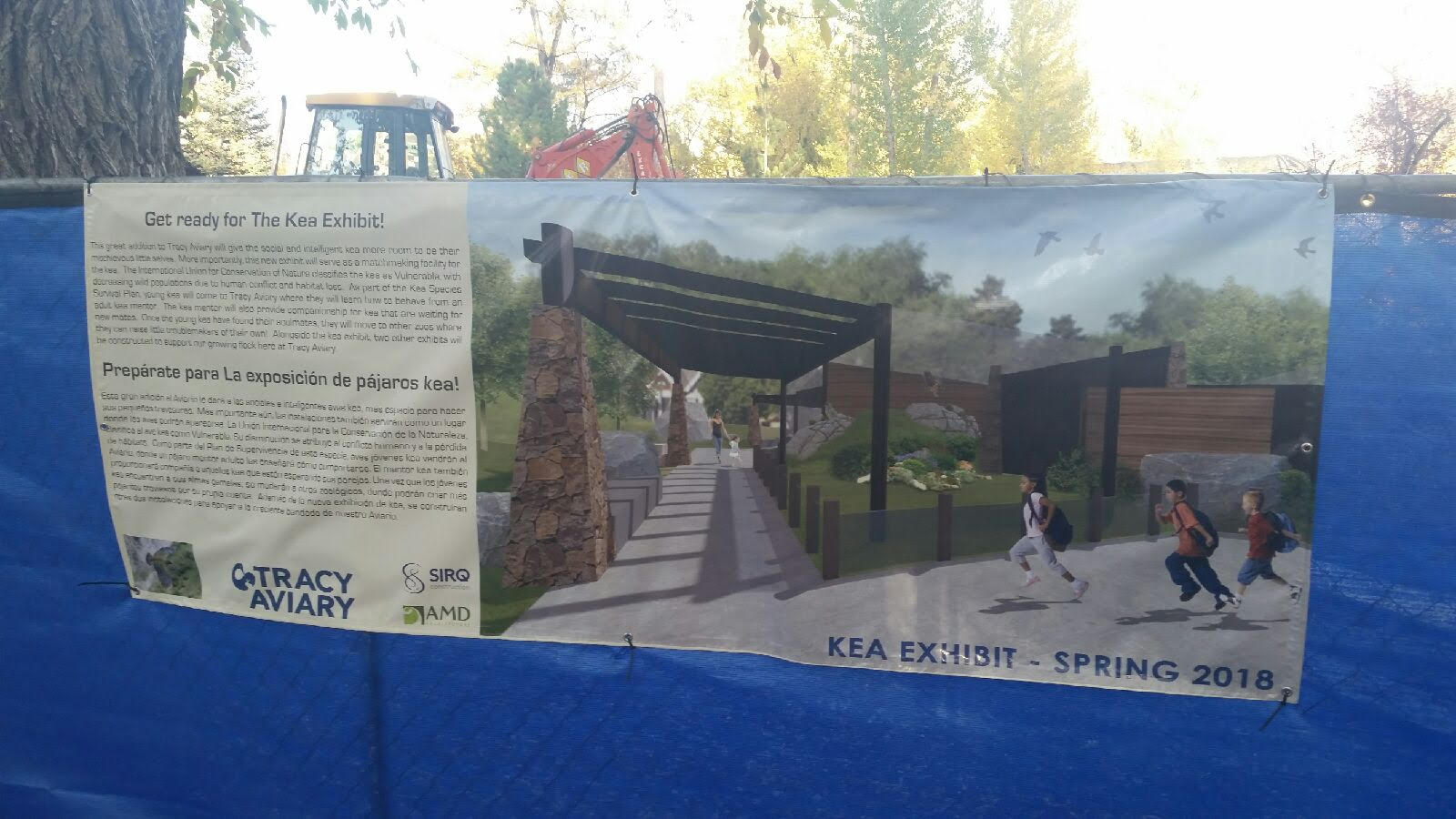 Kea Exhibit Concept Art