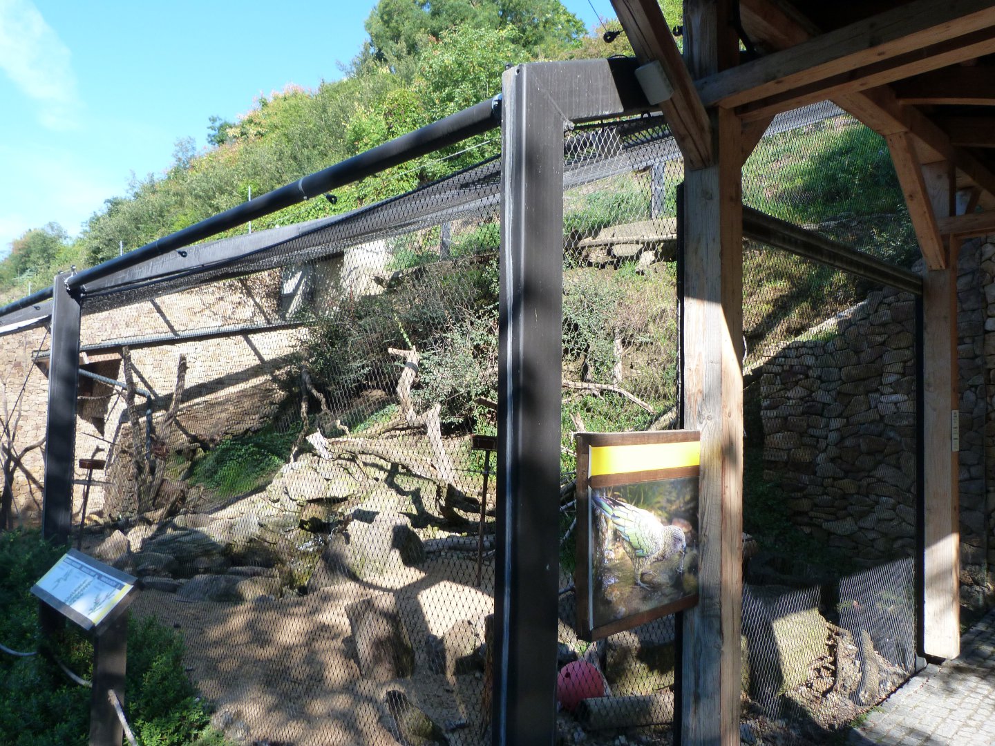 Kea exhibit -Zoo Praha (2025)