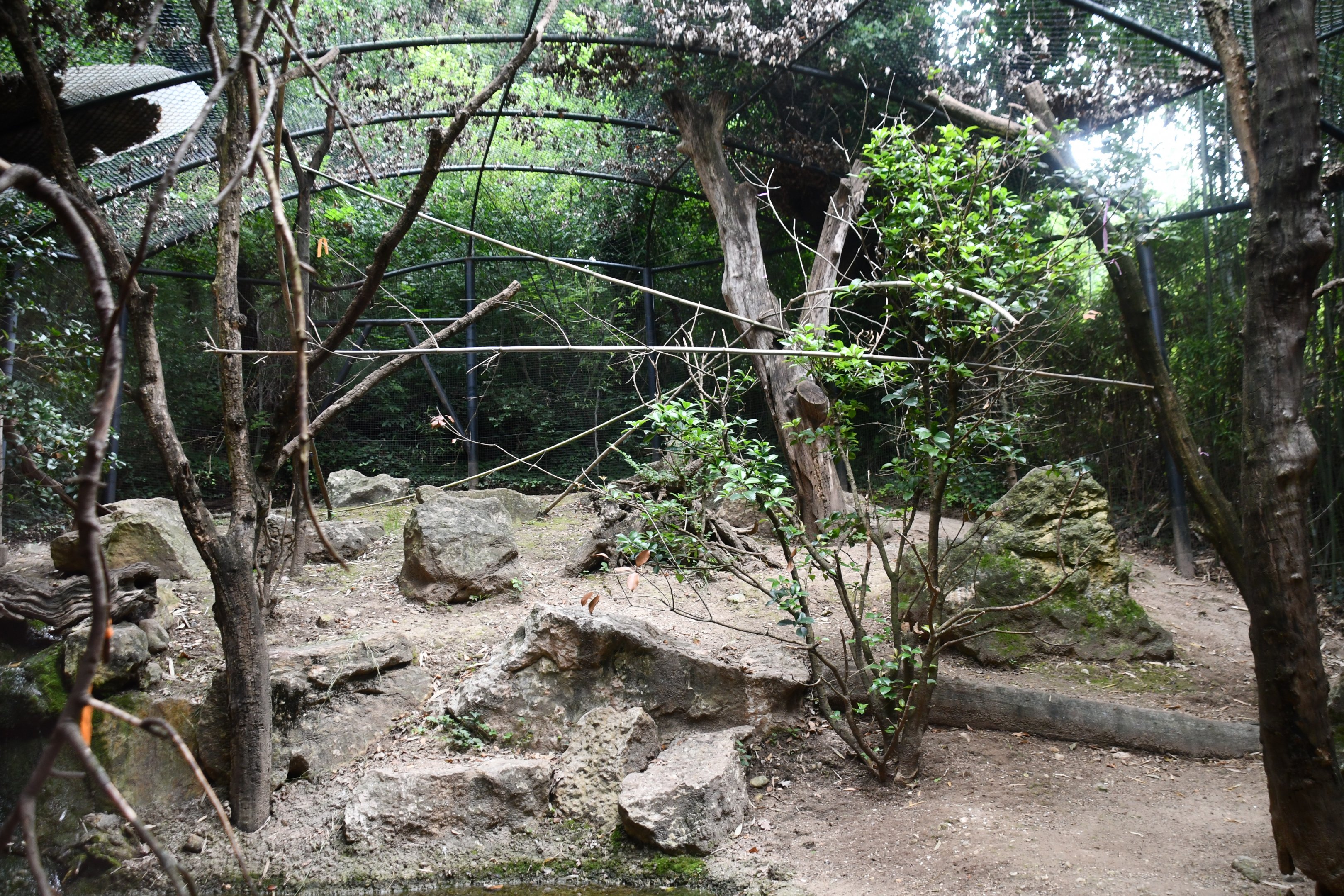 Kea exhibit
