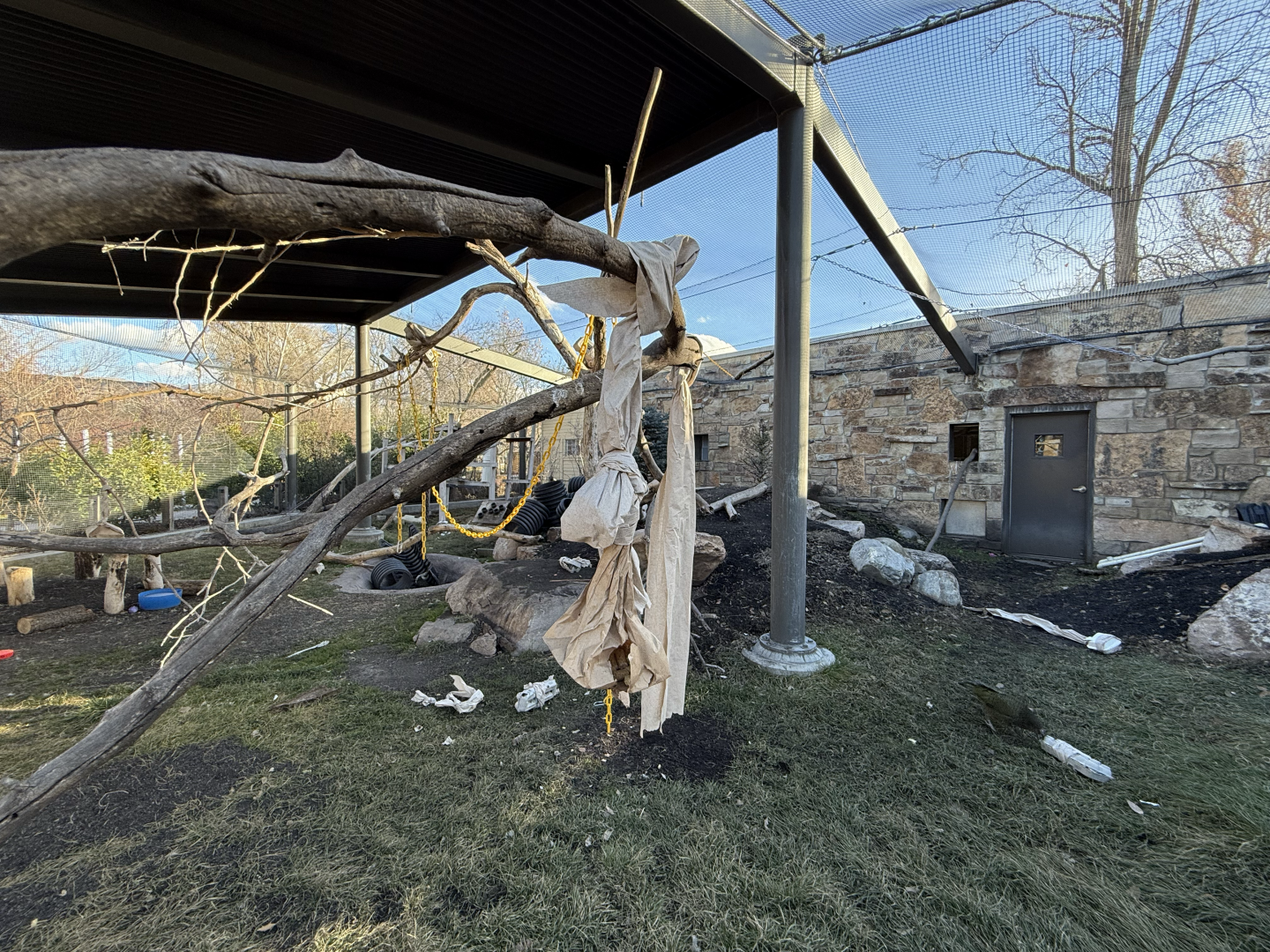 Kea habitat - Expedition Kea