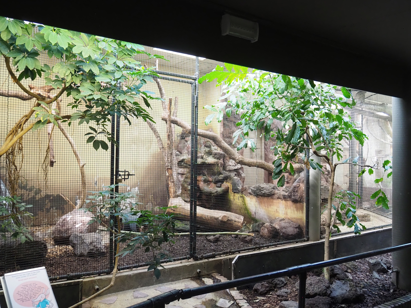 Kea indoor aviary, 2023-10-07