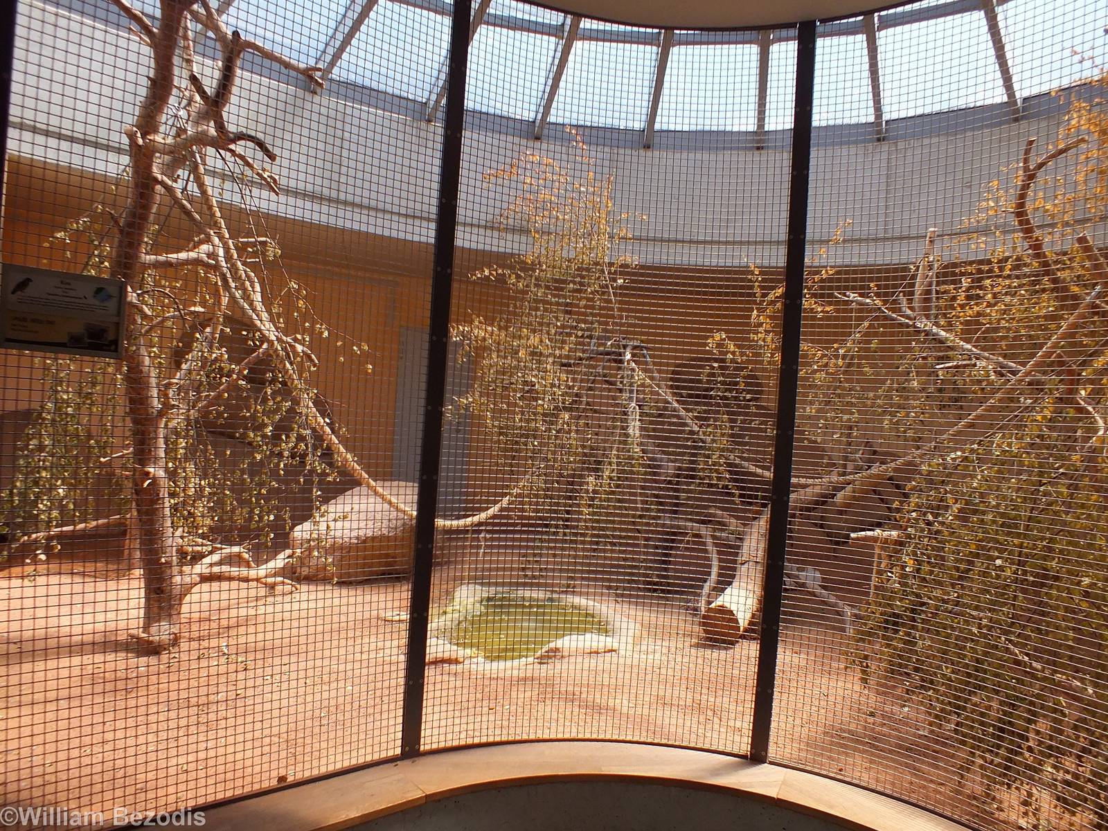 Kea Indoor Enclosure