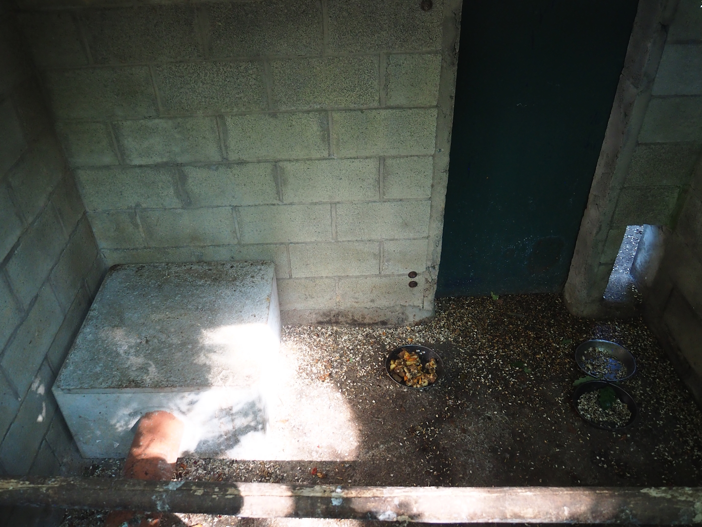 Kea indoor housing, 2023-06-24