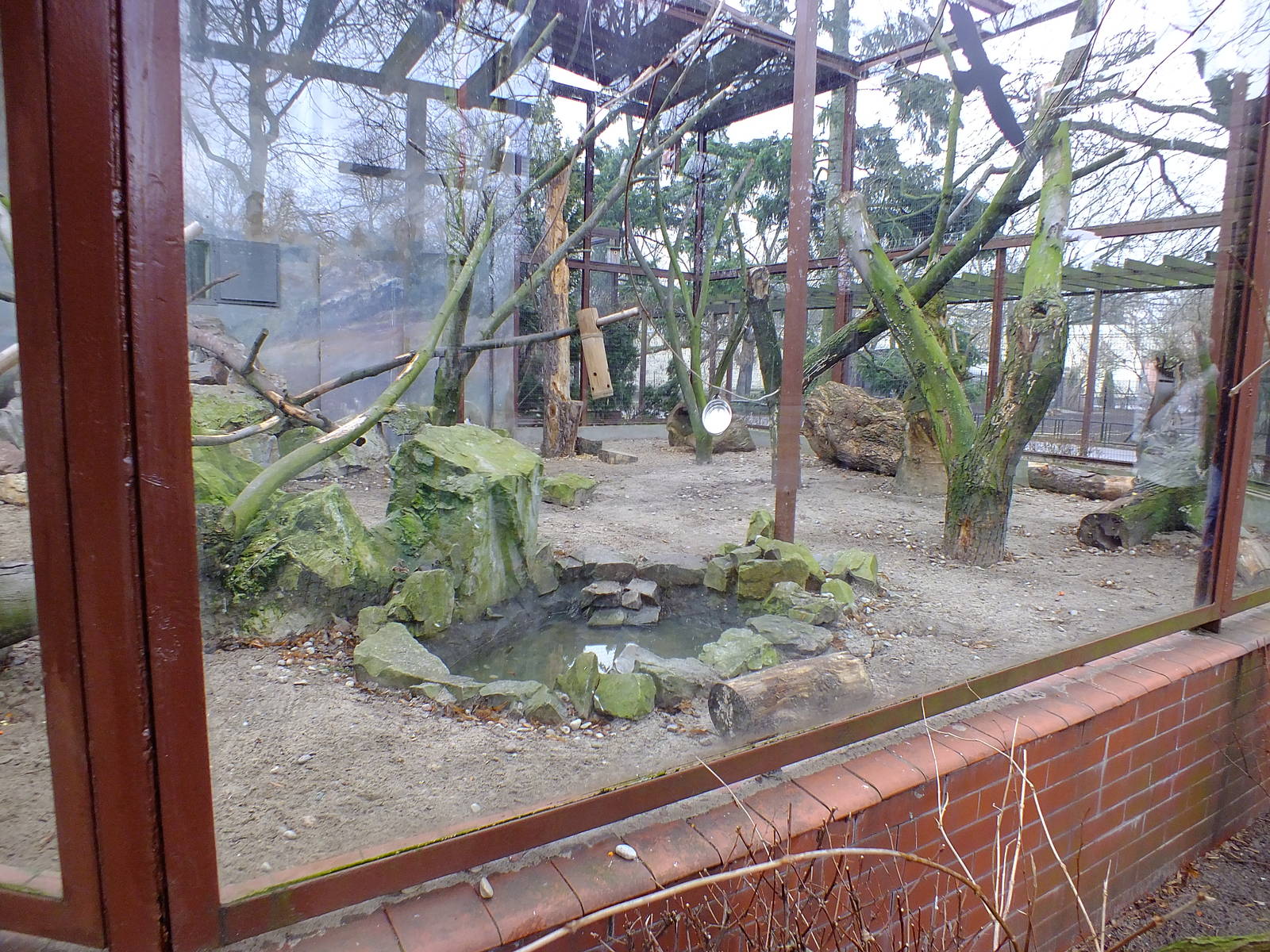 Kea outdoor area (very good imo)