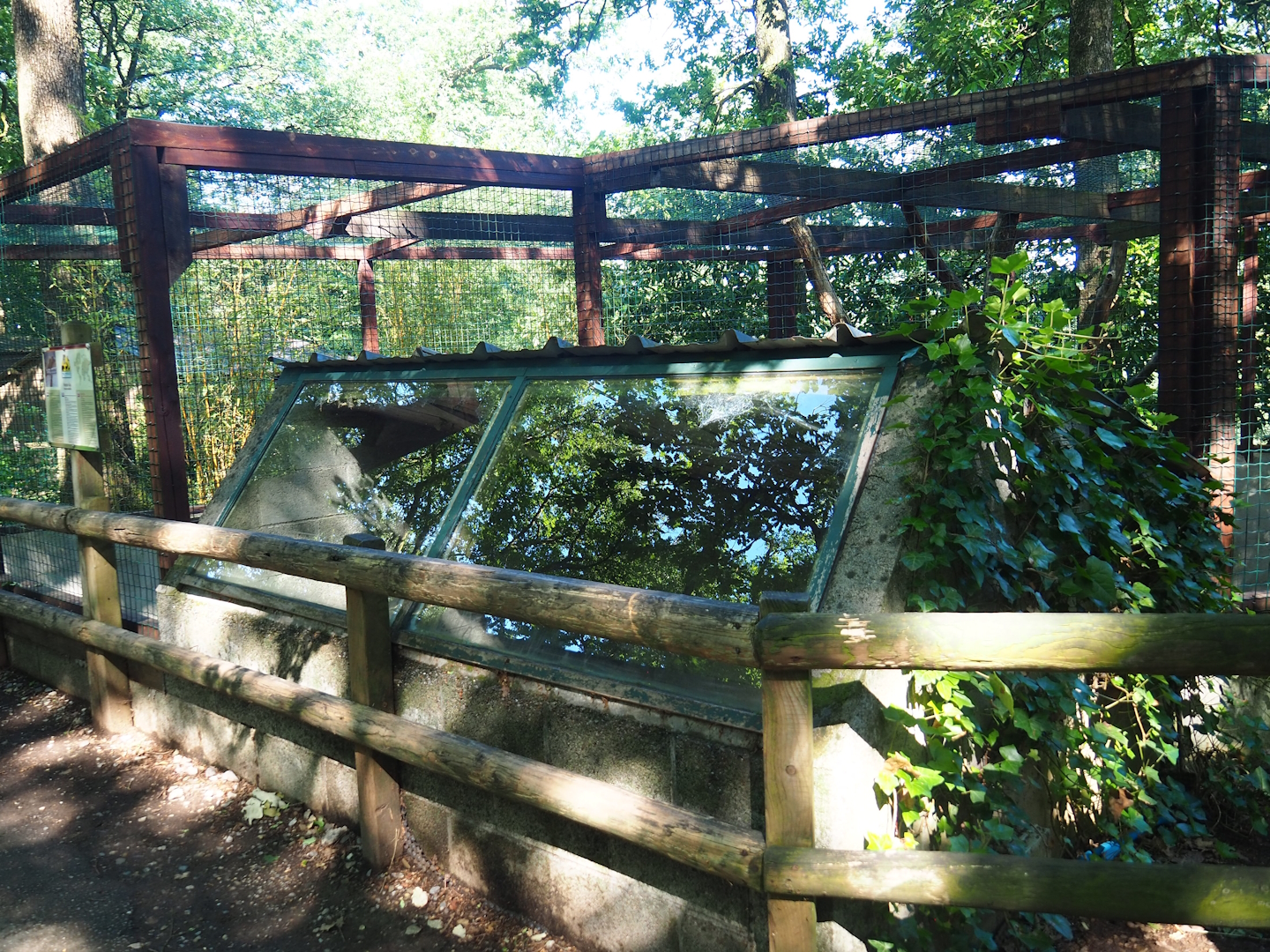 Kea shack, 2023-06-24