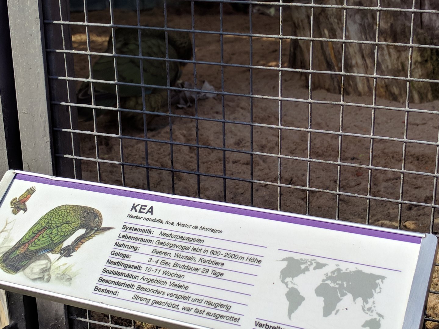 Kea signage