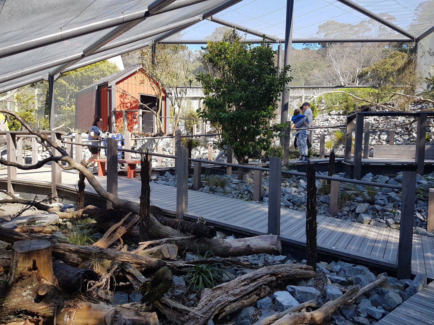 Kea walk-through aviary