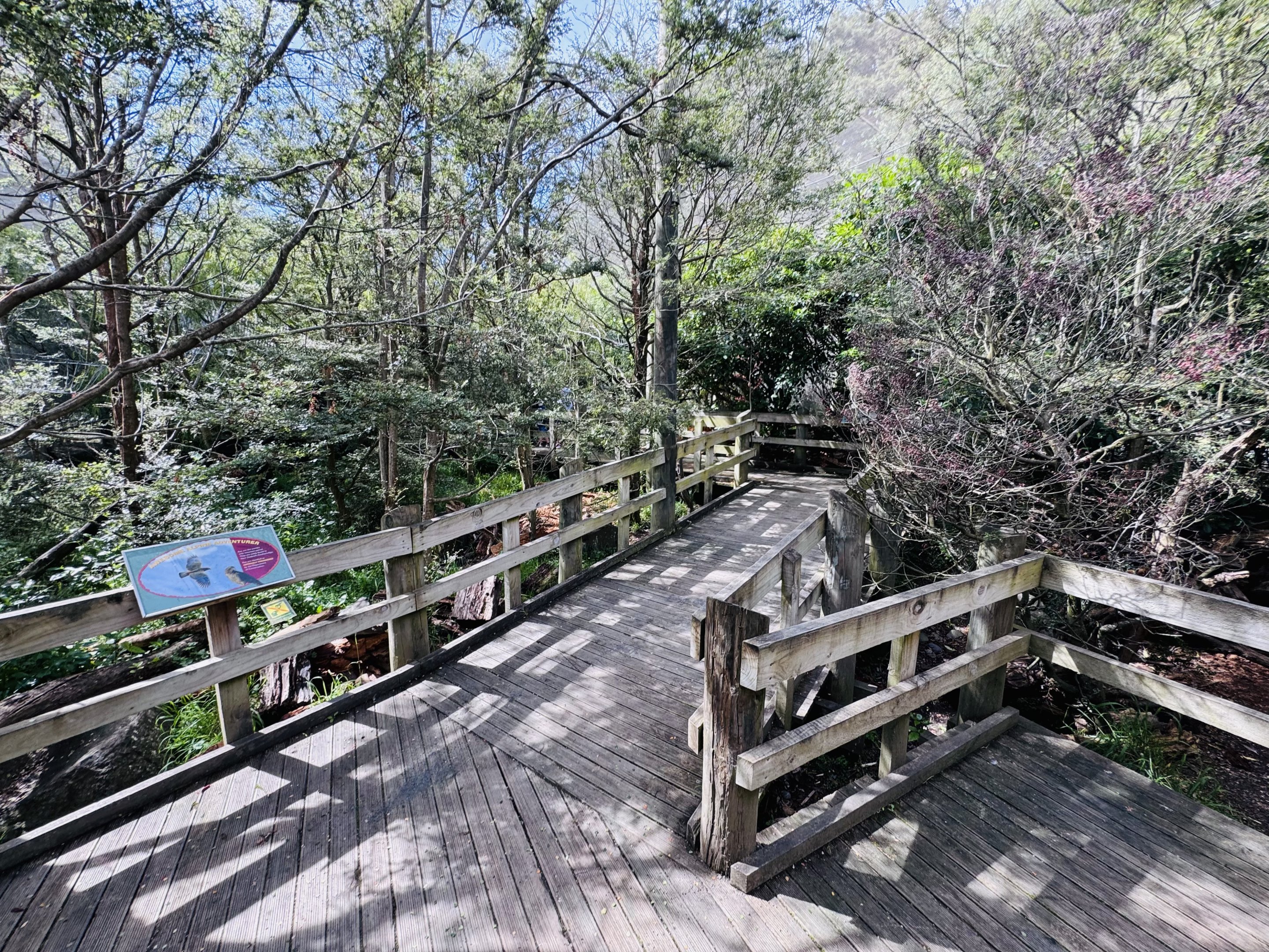 Kea walkthrough aviary