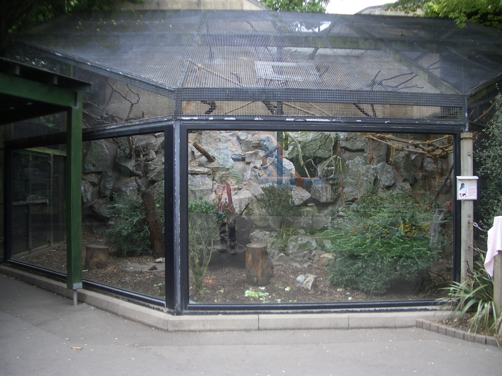 Keas Enclosure - 24.07.2010