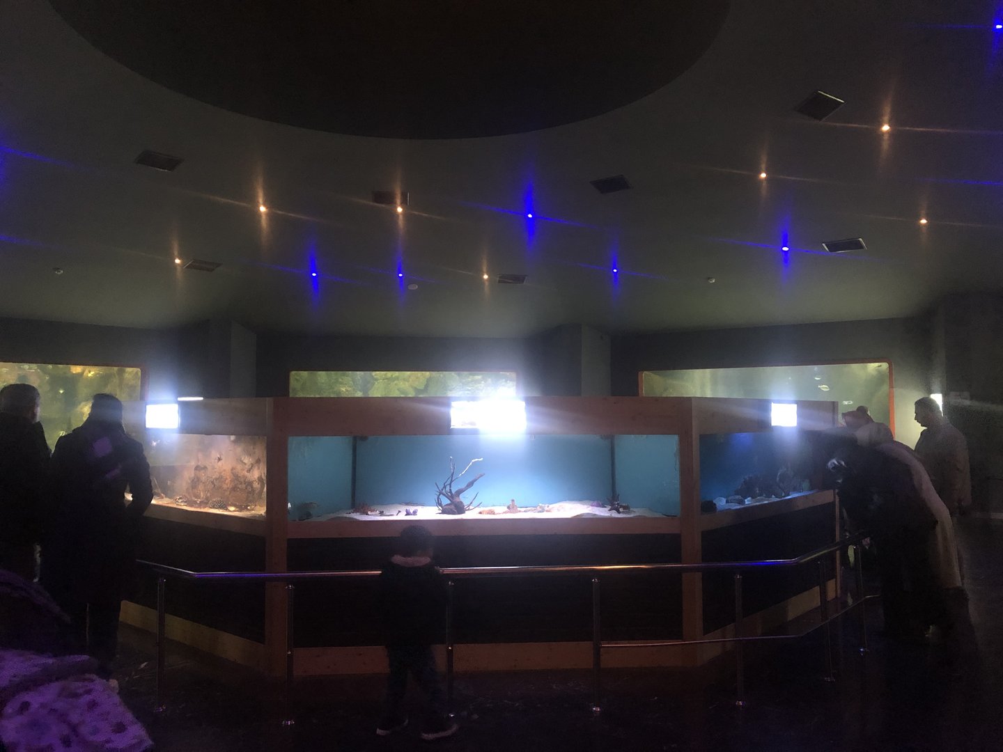 Keçiören Aquarium-First Hall
