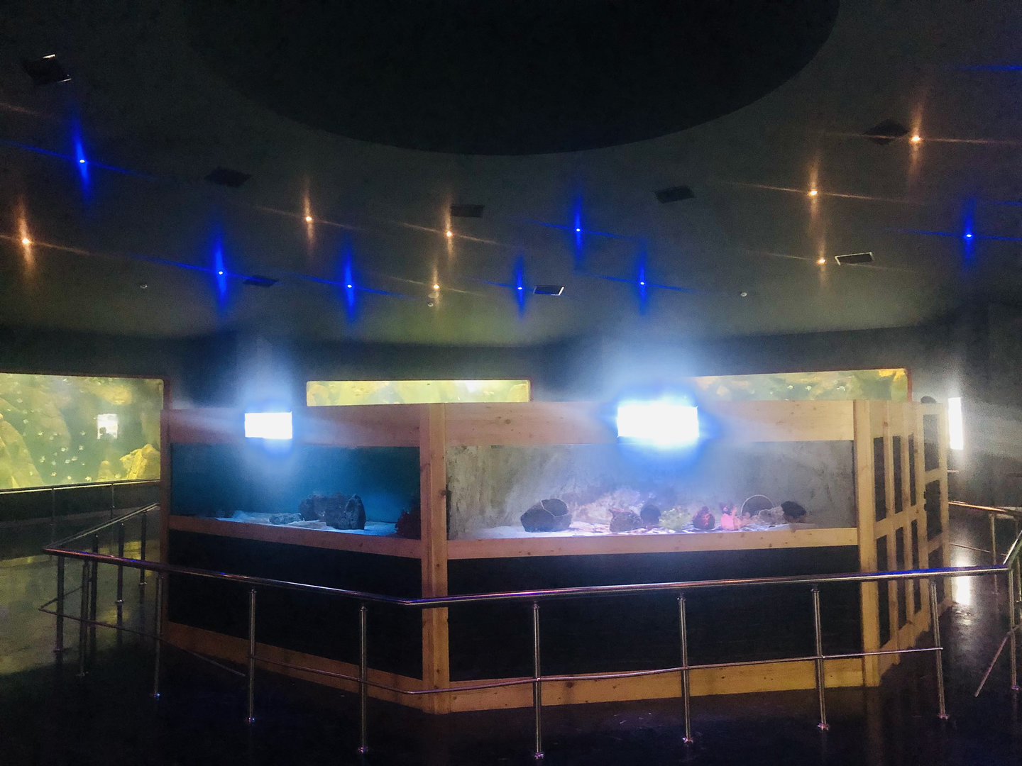 Keçiören Aquarium-First hall