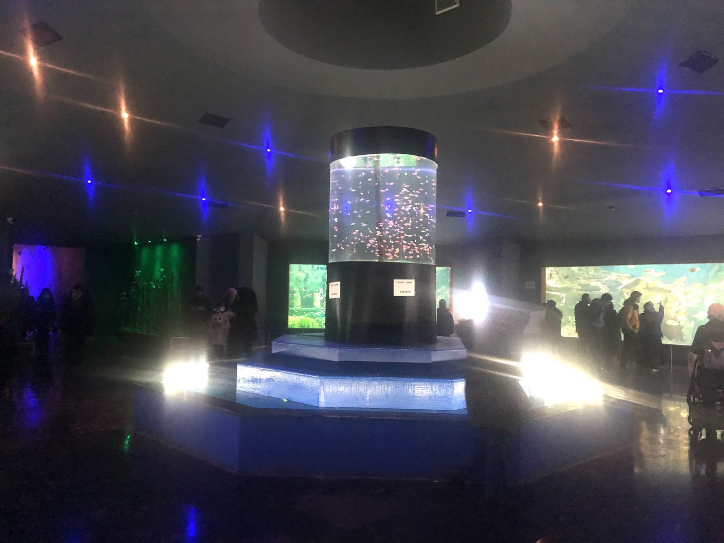 Keçiören Aquarium-Second Hall (with Glofish in the center)