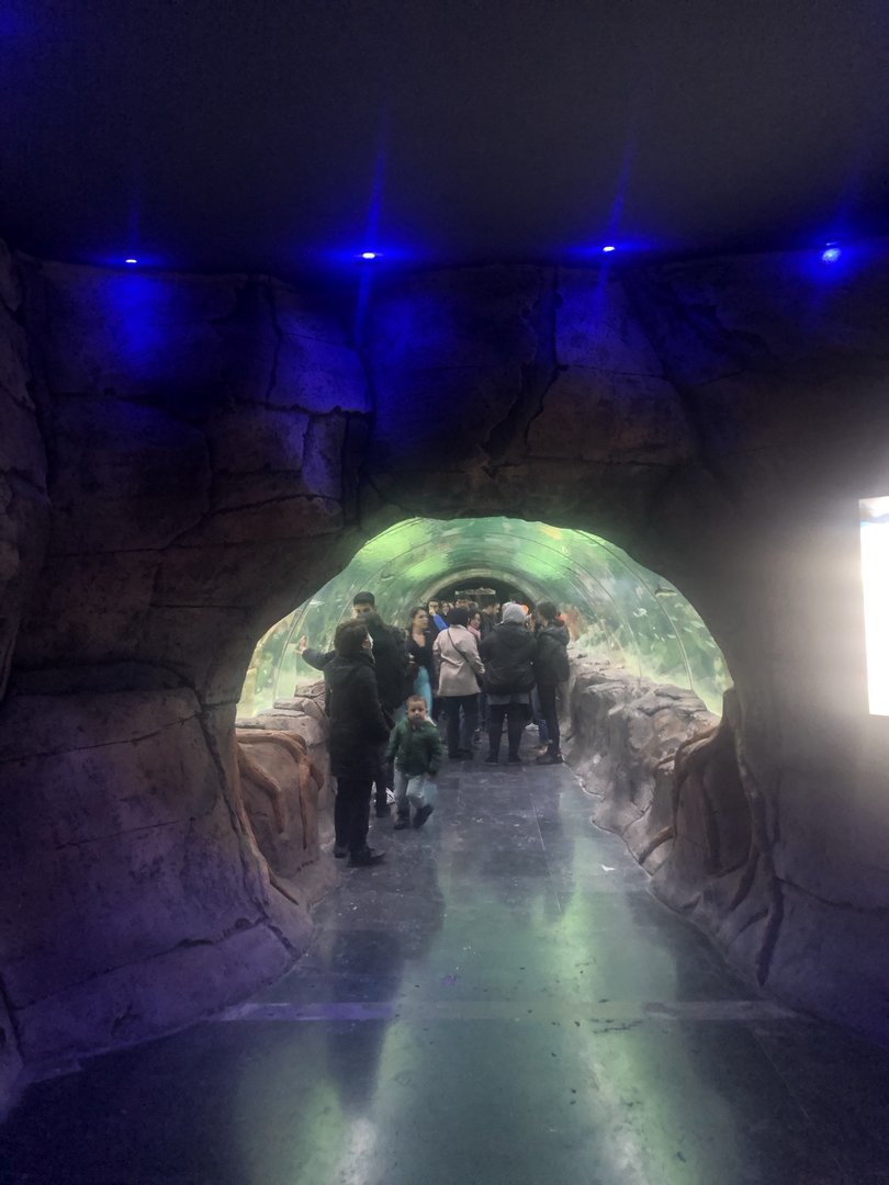 Keçiören Aquarium-Shark Tunnel Entrany