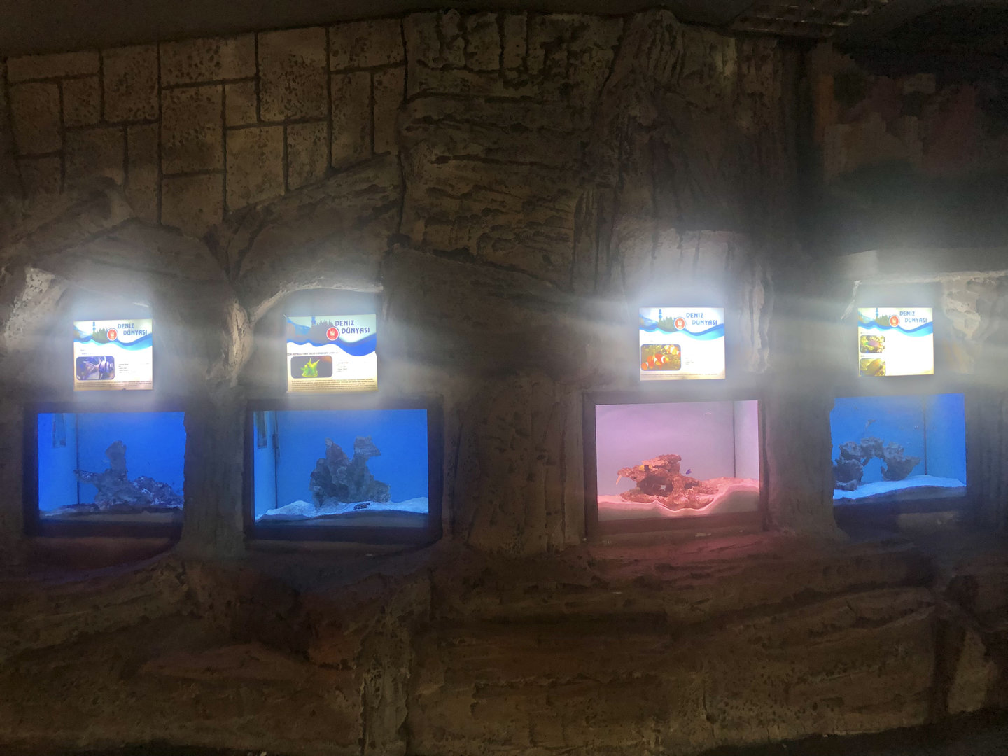 Keçiören Aquarium-Small tanks at Hall 3