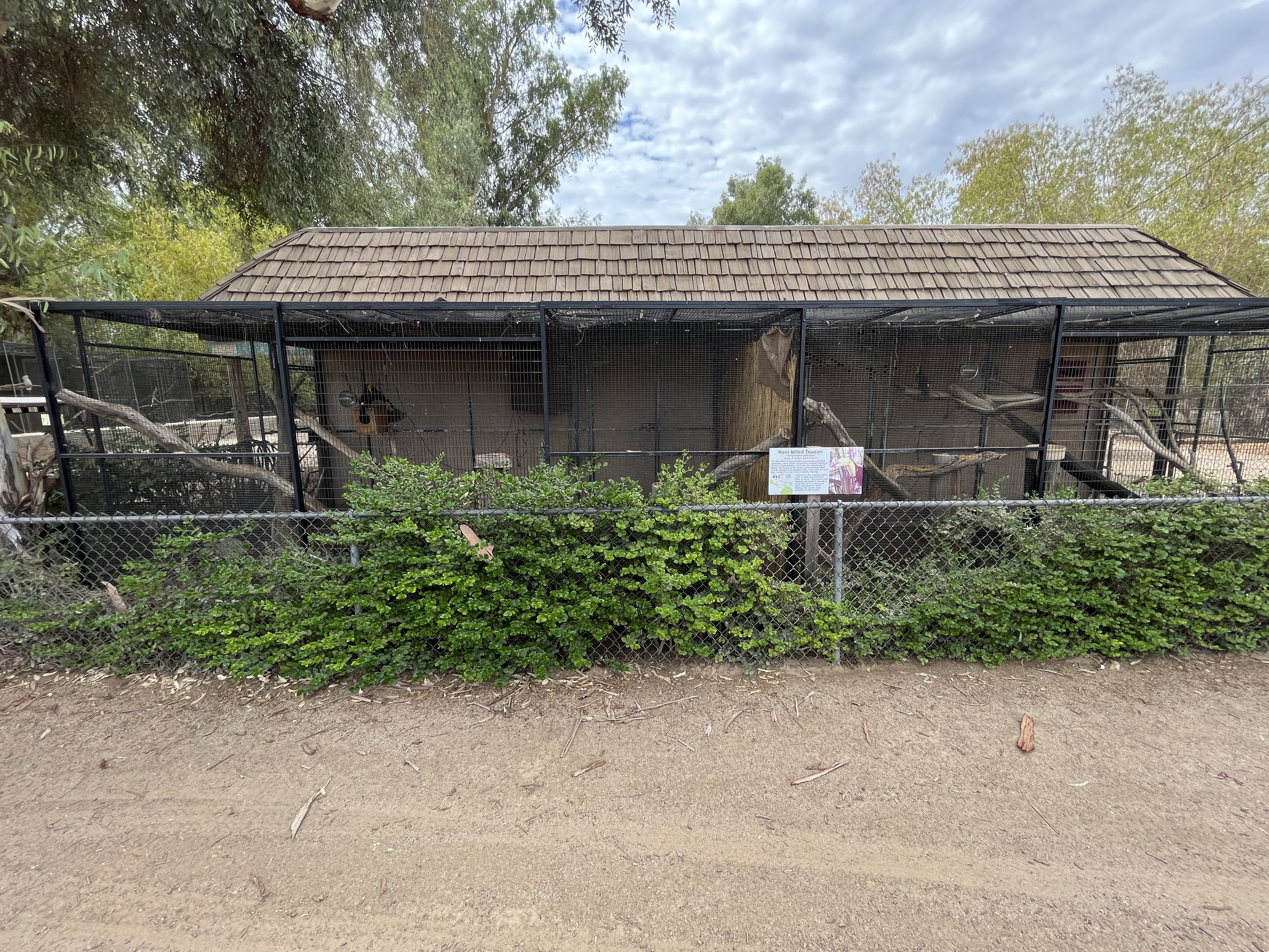 Keel-billed Toucan Aviaries